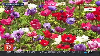 10년만에 다시 열린 순천만국제정원박람회…첫날부터 북적