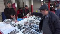 Karadeniz'de ilk defa 'Balık Ağır Metal Birikim Haritası' hazırlandı
