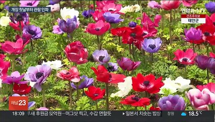 10년만에 다시 열린 순천만국제정원박람회…첫날부터 북적