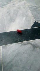 Slow Motion of Samsung S7 edge