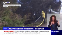 Alpes-Maritimes: les pompiers mobilisés sur un feu de forêt près de Nice, un individu en garde à vue