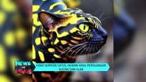 Serpens Catus,  Persilangan Kucing Dan Ular | NEWS OR HOAX