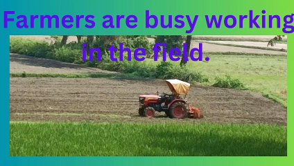 Farmers are busy with farming in the field