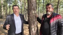 Okan Gaytancıoğlu: Edirne'de Söğütlük Kent Ormanı'na Millet Projesi Yargı Kararıyla Durduruldu. Hukukun Üstünlüğü ve Halk Galip Geldi