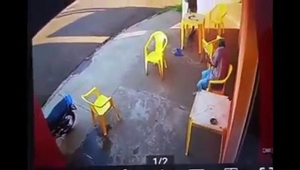 Homem preso por matar gato em bar