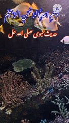 Hadith  #Hadees e Nabvi