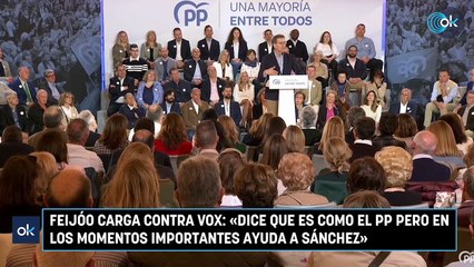 Feijóo carga contra Vox «Dice que es como el PP pero en los momentos importantes ayuda a Sánchez»