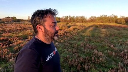 Me encuentro con unos burros en plena naturaleza | Reto de 10.000 Pasos #Trekking #1