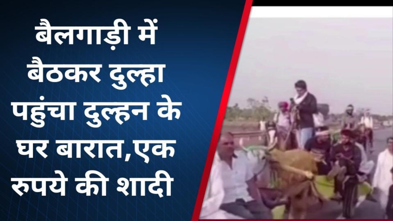 दौसा : बैलगाड़ी पर दूल्हा, ऊंट-घोड़ों पर बाराती... सड़क पर निकली अनोखी बारात, देखते रह गए लोग