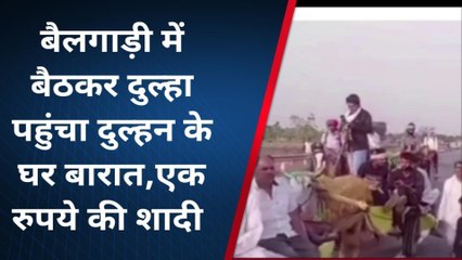 दौसा : बैलगाड़ी पर दूल्हा, ऊंट-घोड़ों पर बाराती... सड़क पर निकली अनोखी बारात, देखते रह गए लोग