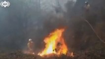 Il Nord della Spagna devastato da oltre 100 incendi