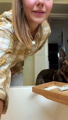 Dog Reacts to Pregnancy Announcement