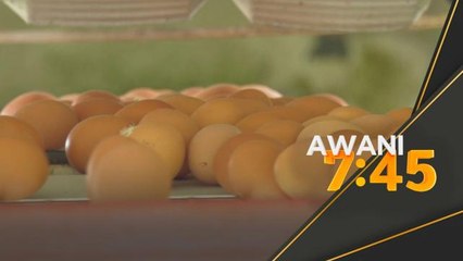 KPDN kekalkan harga siling ayam, telur selepas Syawal