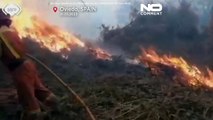 Asturias se quema | Un centenar de incendios azotan esta región del norte de España