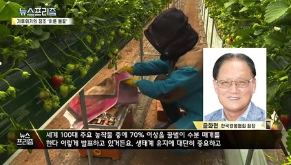 'KO패'에 남은 시간 10년인데…더딘 탄소 감축 [탐사보도 뉴스프리즘]