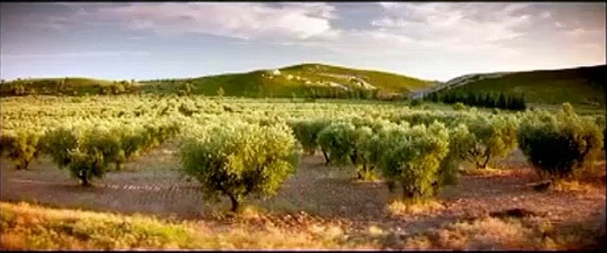 Bienvenue au gîte Bande-annonce (FR)