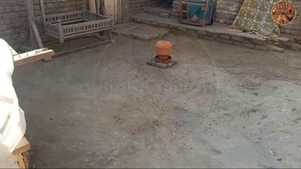 Baarish sy apni murghyon or chozo ko kaisy mefooz rakhy|#g3birdsanimals