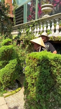 Ảnh cưới đẹp như mơ của chàng trai khiếm khuyết lấy được vợ trẻ xinh