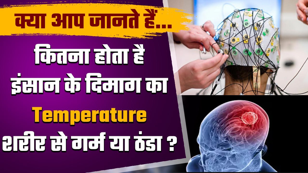 Human Brain का Temperature Body के तापमान से कि...