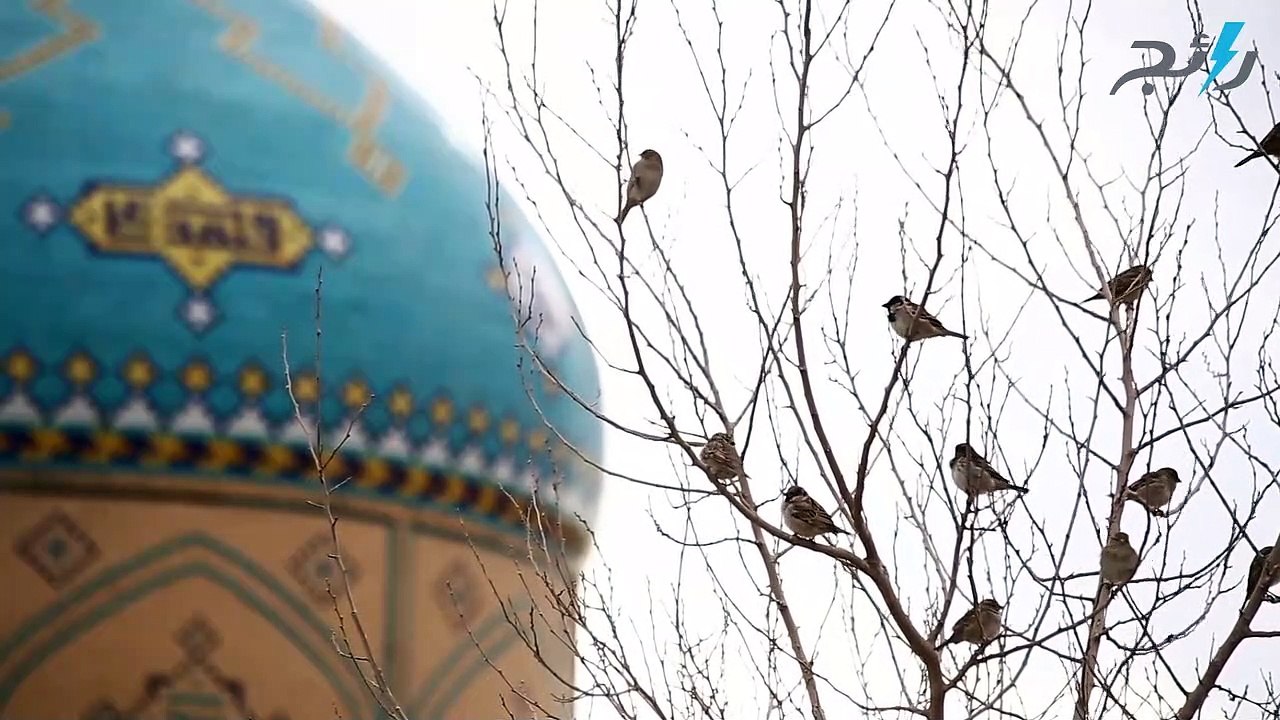 دعاء نزول المطر