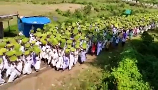 नर्मदा तट पर जवारा विसर्जन के लिए उमड़ा सैलाब, हर तरफ दिखी हरियाली