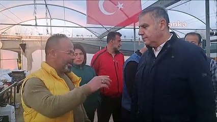 Muz serasında kalan Hataylılar: Haşereler üstümüzde geziyor