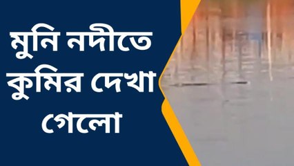 দঃ ২৪ পরগনা : মনি নদীতে কুমির দেখে চক্ষু চড়কগাছ! আতঙ্কিত মৎস্যজীবীরা