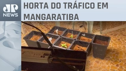 Polícia do RJ descobre horta que produz skunk e prende dois homens