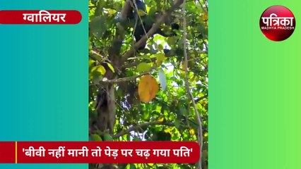 Video : बीवी नहीं मानी तो पेड़ पर चढ़ गया पति, हाईवोल्टेज ड्रामे