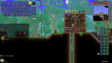 Terraria Let's Play 243: Die Grasklinge & der Corruption-Tümpel (250 Follower Special)