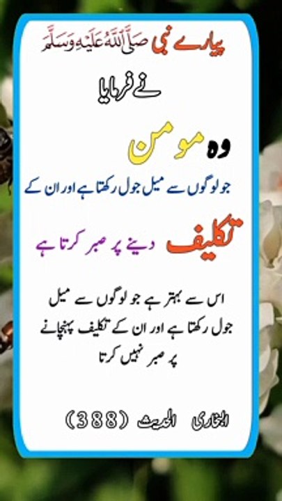 Viral islamic shorts || treanding short || treanding short Islamic || Hadees || sawal jawab, Islamic Shorts, islamic shorts, i