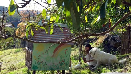 Spring in the Rainforest