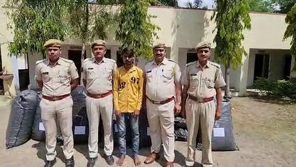 पिकअप में तस्करी, पौने नौ क्विंटल डोडा चूरा जब्त, एक गिरफ्तार