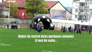 Championnat de France Élite - Jour 6 - BLACK PANTHERS VS COUGARS