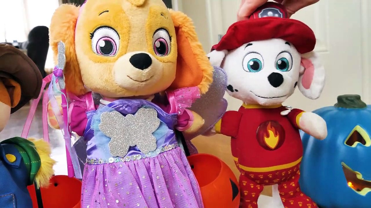 Paw Patrol बच्चों के लिए हेलोवीन वीडियो!