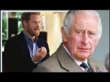 Charles non ha visto Harry nel Regno Unito perché era diffidente nei confronti del 