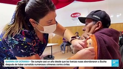 Preocupación en Chile por aumento de casos de gripe aviar en mamíferos