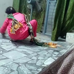 My First Vlog | My First Video on Dailymotion 