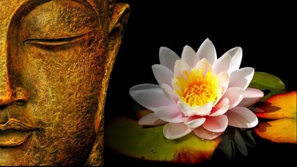 南無 阿彌陀佛 Namo Amitabha 聖號 60 mins 男聲