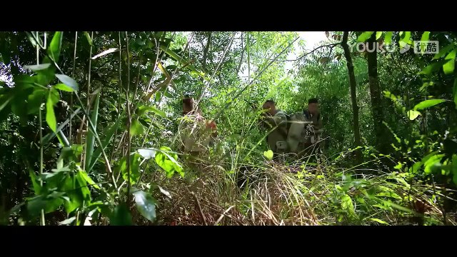 Hydra Snake with 9 Heads Appears in virgin forest