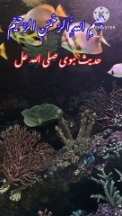 Hadees e Paak , Hadees Shareef , Hadees e Nabvi