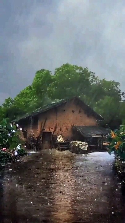 Nature _ Fast rain view, China village house, Summer rain, Nature 4k videos _ Short video