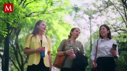 Muere mujer por ataque de abejas en Tabasco; hay decenas de heridos