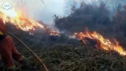 Onda de incêndios no norte da Espanha está 'sob controle'