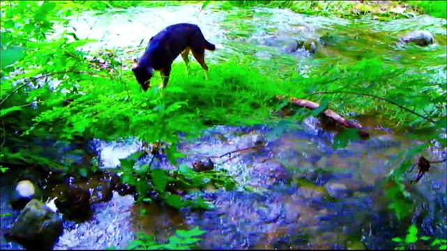 Adieu au langage Bande-annonce (RU)