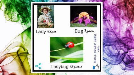 مفردات اللغة الإنجليزية - كلمات مركبة سهلة للحفظ.
