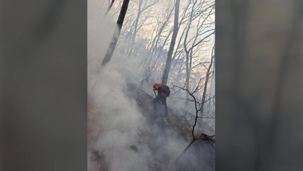 경기 광주에서 산불...다친 사람 없어 / YTN