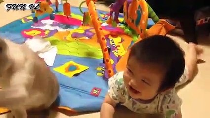 Funny Animal Funny Cats And Dogs Playing With Babies Compilation 2015