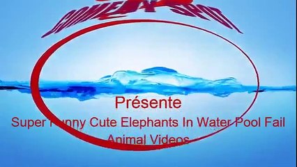 Kids At The Zoo Compilation