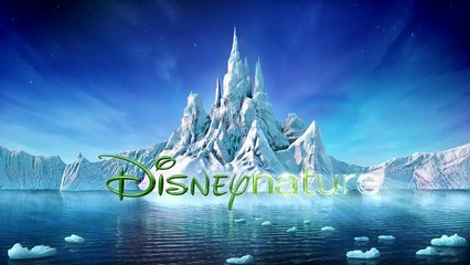 Un jour sur Terre Bande-annonce (EN)